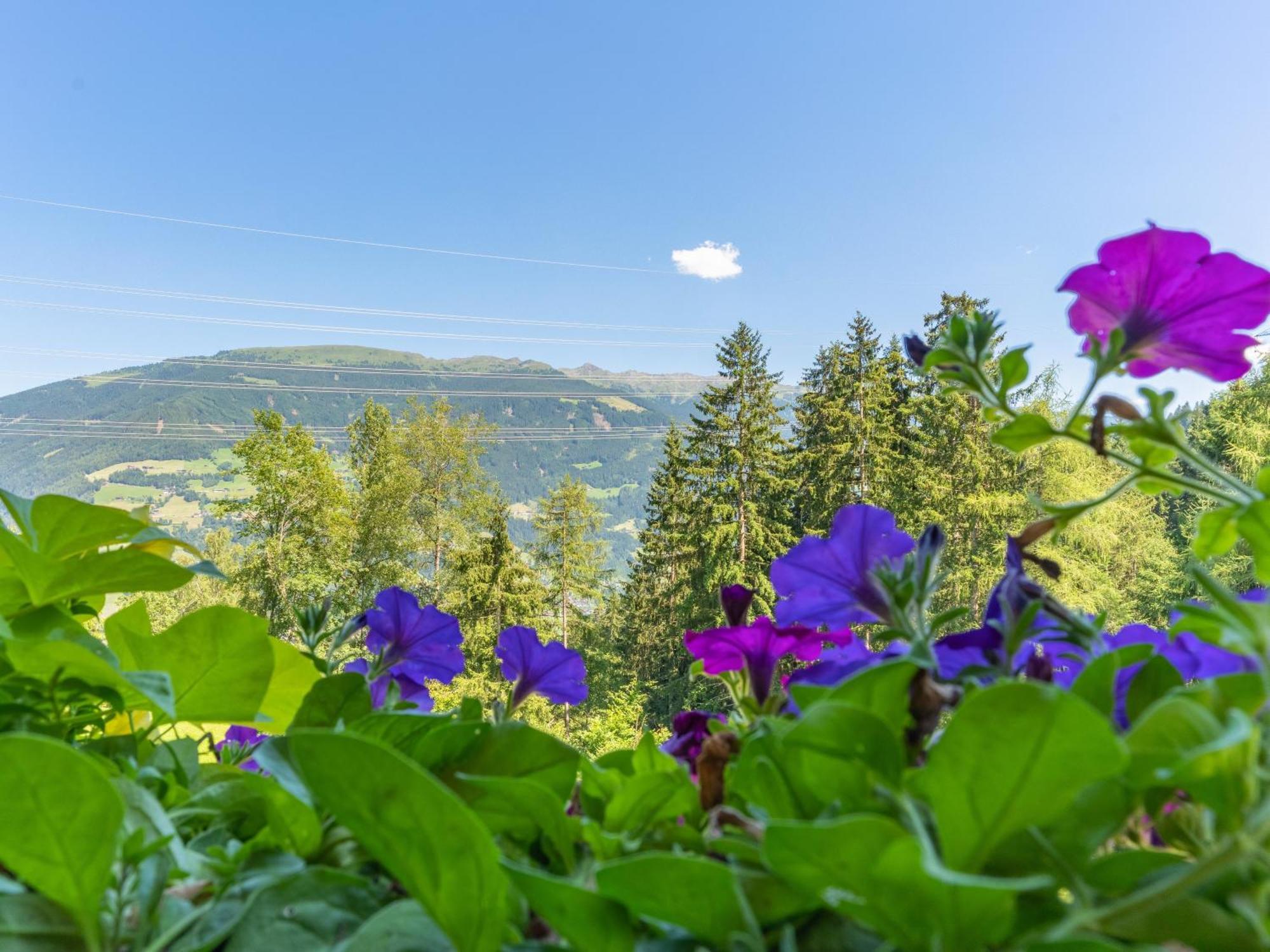 Wieshof Kaltenbach Pokoj fotografie