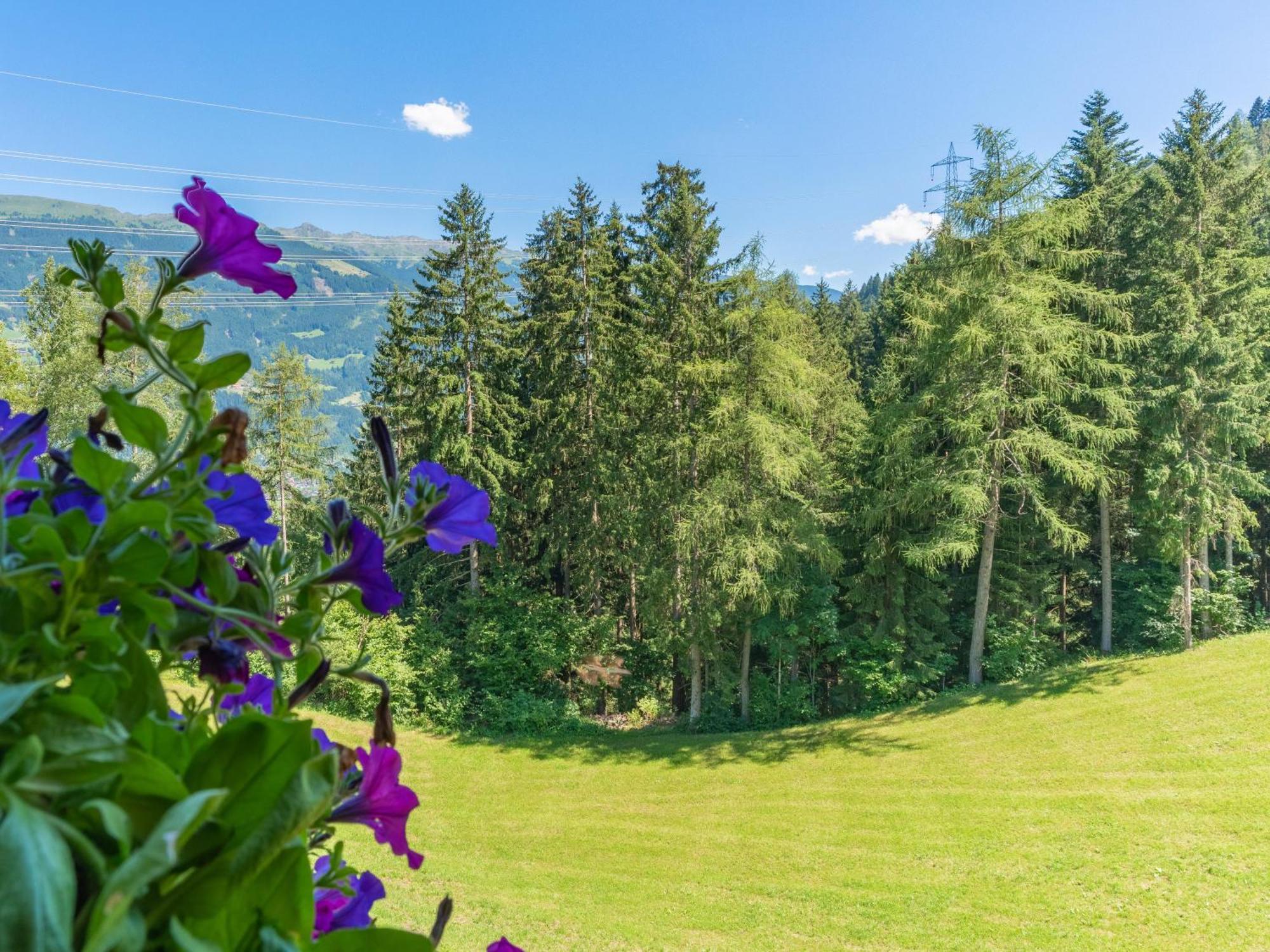 Wieshof Kaltenbach Pokoj fotografie